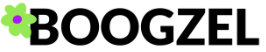 Boogzel Clothing Logo