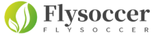 Flysoccer Logo
