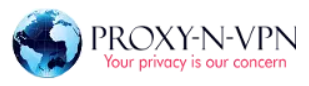 Proxy N VPN Logo