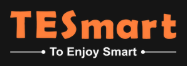 TESmart Logo
