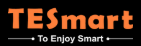 TESmart.DE Logo